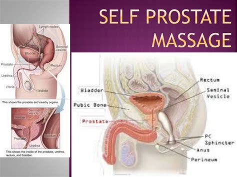 orgasm through massaging prostate excellent porn