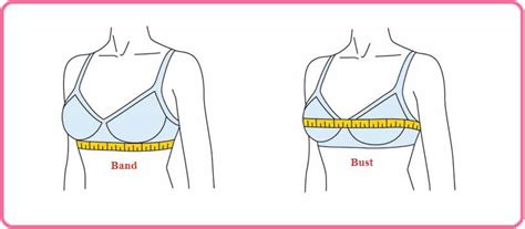 how to measure your bra size to find your perfect fit