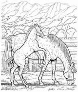 Coloring Horse Pages Friesian Book Color Printable Publications Dover Horses Meadow Doverpublications Colouring Adults Wonderful Template Welcome Kids Adult Books sketch template