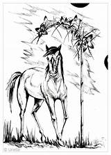 Cavalli Caballos Cheval Adulti Chevaux Adultos Cavallo Pferde Erwachsene Malbuch Coloriages Adulte Bois Simples Zentangle Motifs Justcolor Gratuit Guay Majestic sketch template