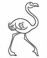 Flamingo Coloring Pages Pink Template Honkingdonkey Kids sketch template