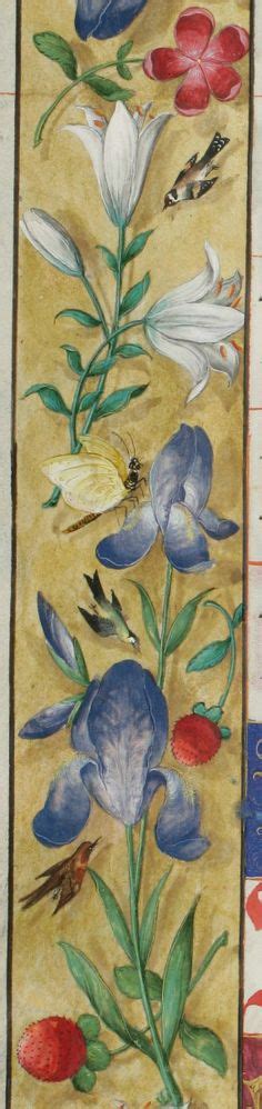 manuscript ideas medieval art medieval manuscript illuminated