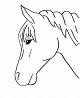 Horse Trace Easy Drawing Horses Drawings Outlines Pages Coloring Head Animals Outline Printable Patterns Pferd Zeichnen Animal Template Stencil Pferde sketch template