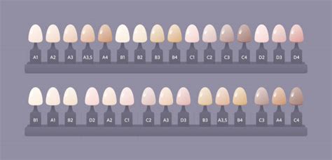 color shade chart illustrations royalty  vector graphics clip