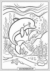 Delfines Rincondibujos Entradas Navegación sketch template