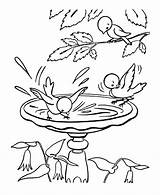 Coloring Pages Spring Sheets Summer Bird sketch template