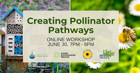 creating pollinator pathways london environmental network