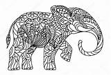 Elephant Coloring Antistress Stylized Stock Illustration Vector sketch template