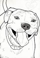Pitbull Drawing Drawings Face Dog Draw Pitbulls Coloring Animal Pit Bull Pages Print Staffy Pencil Dogs Paw Result Bulls Line sketch template