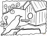 Colorare Uccelli Casetta Vogelhaus Degli Disegni Ausmalbild Birdhouse Coloring Kleurplaat Vogelhuisje Casette Domek Uccellini Feeder Vogelhuis Nido Vögel Ausdrucken sketch template
