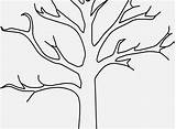 Tree Coloring Almond Pages Bäume Getcolorings Printable Perfect Stock Templates Grundschule sketch template