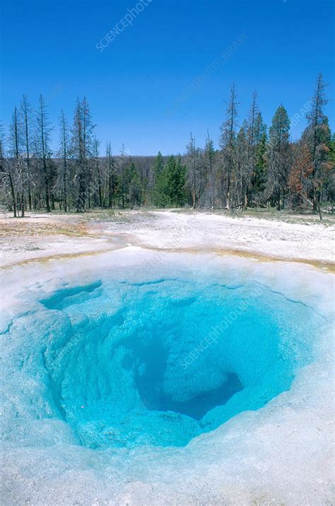 Morning Glory Pool Yellowstone Stock Image C003 9560 Science