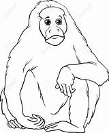 Primate Coloring Designlooter Bald Monkey Uakari Animal Illustration Cartoon Funny Book Stock sketch template