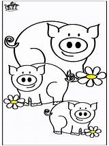 Schweine Lions Maiali Varkens Cochons Ferme Bauernhoftiere Anzeige Pubblicità Xcolorings Boerderijdieren Advertentie Publicité sketch template