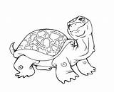 Turtle Tartarugas sketch template