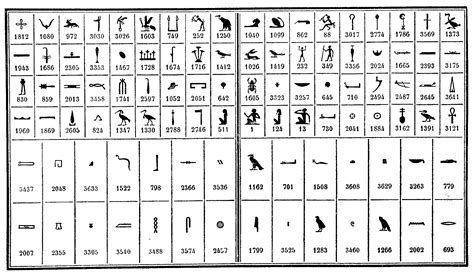 hieroglyphen abc hieroglyphen  aegypten      hieroglyphic illustrations