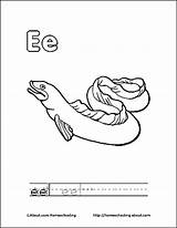 Eel Coloring Pages Choose Board Getcolorings Letter Book sketch template
