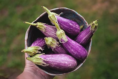 Stay Away From These Nightshade Vegetables If You Have A Sensitivity