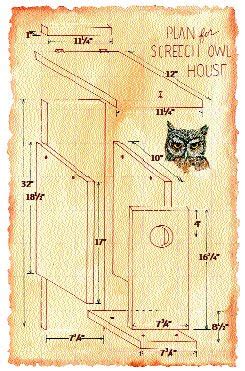 bird house kits owl nest box bird houses diy