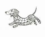 Dachshund Zentangle Dachshunds Tattoos Salchichas Daschund Wiener Dashund Weenie Hunde Salchicha Skulls Sugaring Hund Approx 8x10 sketch template