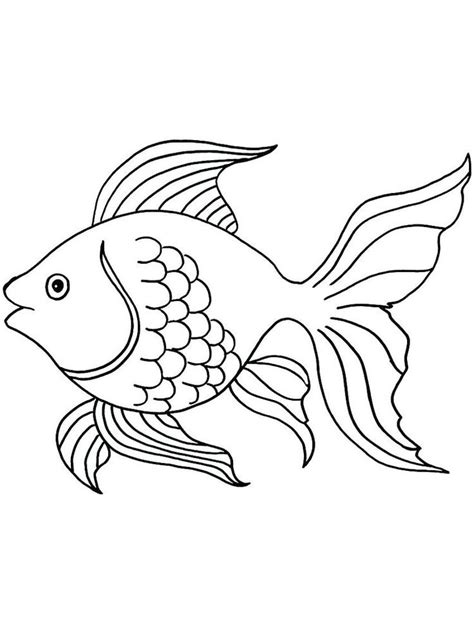 angelfish coloring page    collection  fish coloring page