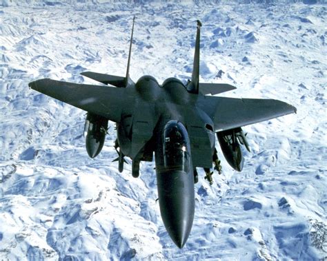 eagle  weather jet fighter  military aircraft picture