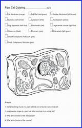 Biologycorner Provides Resources sketch template