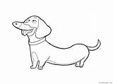 Dachshund Coloring4free sketch template