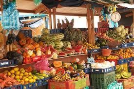 picture   tropical fruits grown  curacao       agricultural