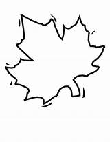 Leaf Coloring Blank Clipart Leaves Autumn Template Stencil Pages Fall Large Clip Color Cliparts Apple Letters Colouring Drawing Library Find sketch template
