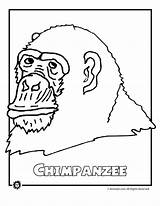 Coloring Endangered Rainforest Pages Animals Animal Species Chimp Chimpanzee Kids Most Print Popular Library Jr Coloringhome sketch template