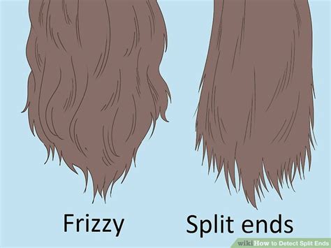 detect split ends  steps  pictures wikihow