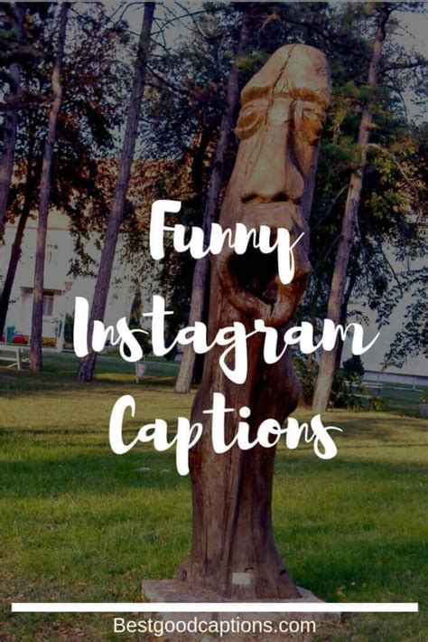funny hunting captions   funny instagram captions instagram