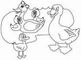 Ugly Duckling Coloring Duck Pages Meets Family Ws sketch template