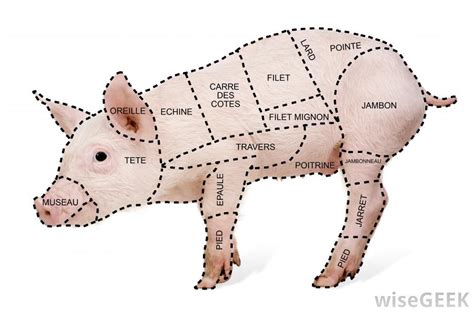 apotelesma eikonas gia pork spare ribs dissection pork cuts chart pork
