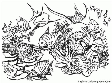 underwater scene coloring pages coloring home