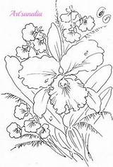 Para Flores Orquidea Drawing Orchid Flower Coloring Colorear Orquideas Cattleya Google Pages Dibujo Imgenes Pic Flor Con Salvo sketch template