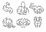 Flexing Vector Outline Arm Body Icon Bicep Muscular Muscle Powerful Flex Set Vecteezy Edit sketch template