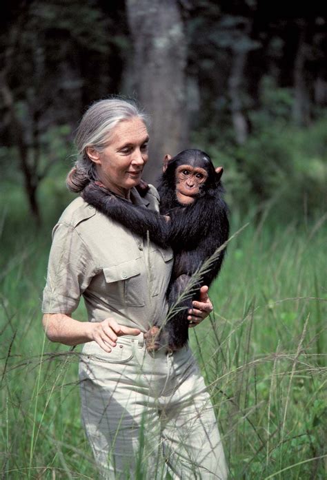 jane goodall biography awards books facts britannica