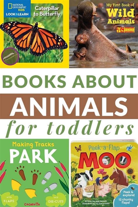toddler books  animals