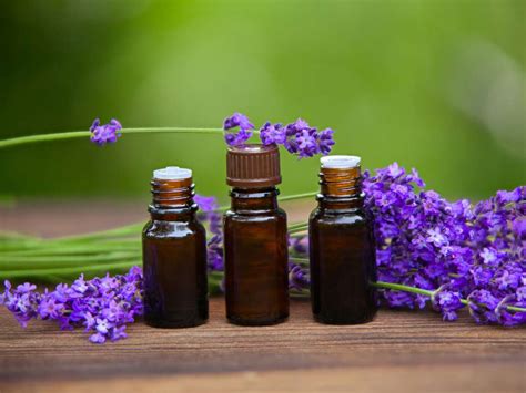 essential oils may disrupt normal hormonal activity