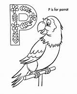 Coloring Parrot Pages Kids sketch template