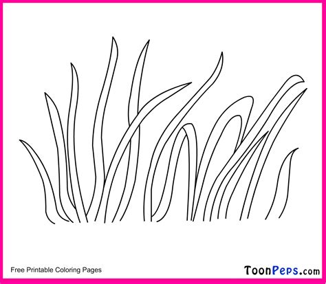 pictures  grass colouring pages