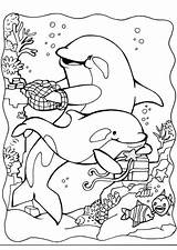Dolfijnen Printen sketch template