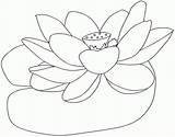 Lotus Flower Coloring Color Drawing Popular Getdrawings Flowers Coloringhome sketch template