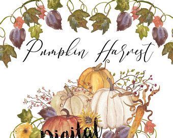 pumkin watercolor clip art pumkin  fall harvest clip art watercolor fall clip art fall