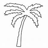 Coloring Palm Tree Template Leaf Leaves Clip Clipart Trees Branch Pages Cliparts Gif Palmtree Painting Library Bw Comments Clipartbest Favorites sketch template
