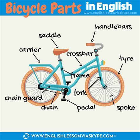 english vocabulary  cycling learn english  harry