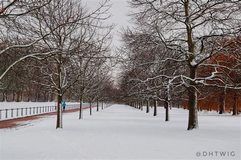 hyde park london  winter rruralporn