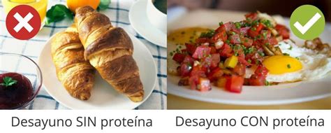 desayuno con proteína el mejor para perder peso desayuno proteina